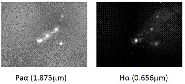 星形成銀河VV254の水素Paα輝線画像（左）と、同じ領域を水素Hαで撮影したもの（右：Howard Bushouse (米国 宇宙望遠鏡科学研究所）提供）。星間塵がなければ同じに見えるはずですが、Paα画像にはHα画像で見えていない銀河中心で明るく輝く星形成領域があることから、大量の塵があってこの星形成領域が隠されていることがわかります。
