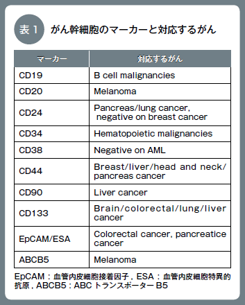 表1  がん幹細胞のマーカーと対応するがん