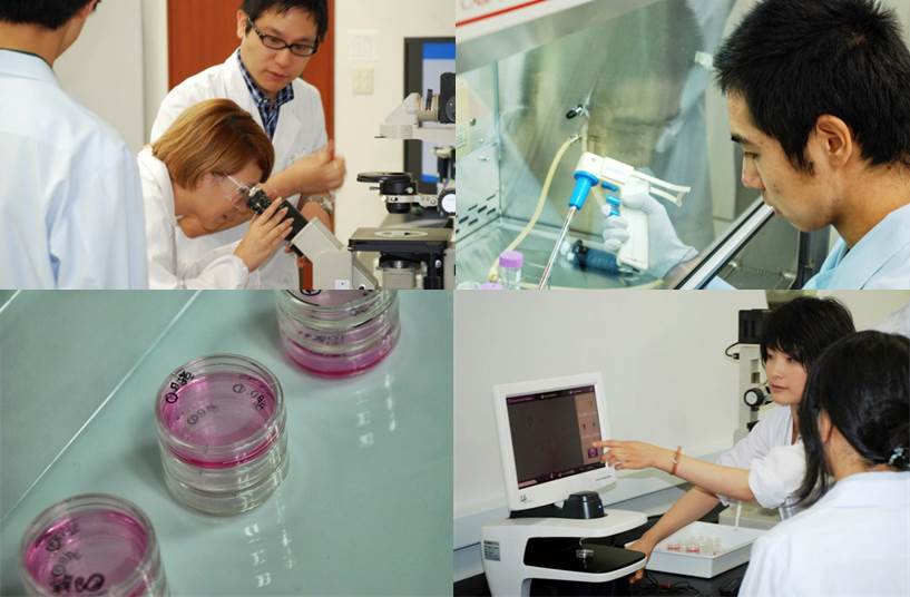 企業の研究室で研究体験! 「幹細胞研究に挑戦しよう!」