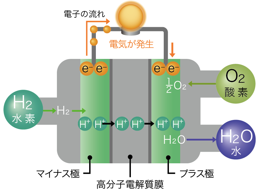 ▲水素と酸素から電気をつくる,燃料電池のしくみ: 燃料電池のマイナス極に水素を供給すると,マイナス極の 触媒上で水素から電子(e- )が放出される。その電子がマ イナス極からプラス極に流れることで,電気が発生する。 一方,電子を放出した水素は水素イオン(H+)となって, マイナス側から高分子電解質膜を通ってプラス側へ移る。 プラス側の触媒上で,酸素と水素イオン,電子が結合して 水になる。