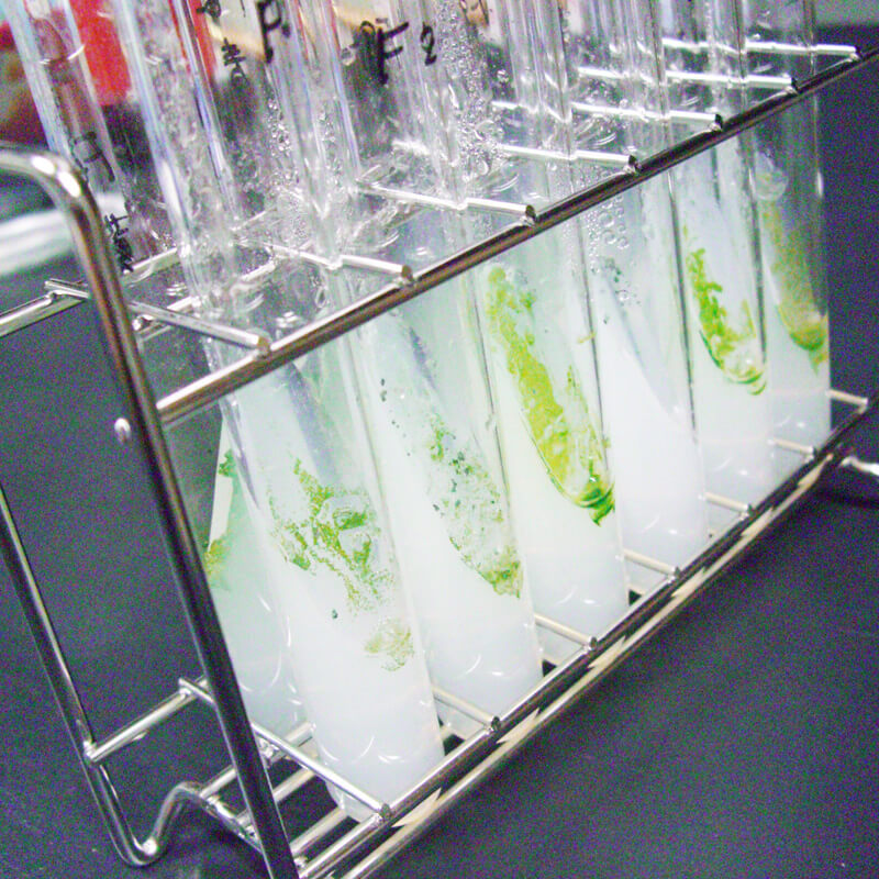 【関東 8月】教員向け研修会：新規微細藻類を見つけ出せ！〜藻類培養実験〜