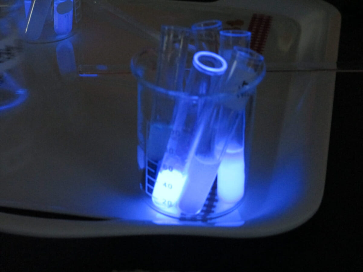 【東京】教員向け研修会「化学反応で発光実験〜身の回りから触媒を探し出せ！〜」を実施しました