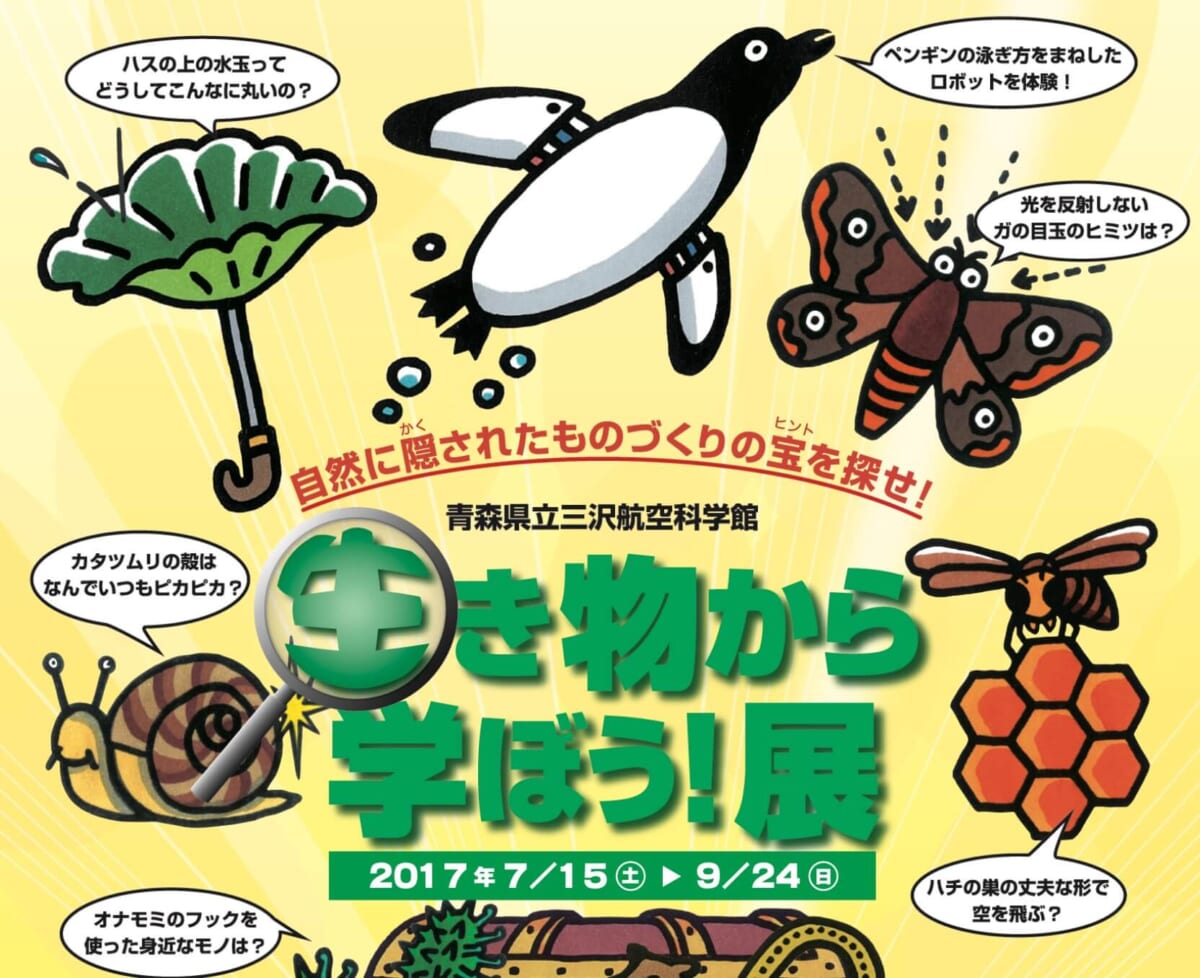 リバネスが企画した夏休み特別展『生き物から学ぼう！展〜自然に隠されたものづくりの宝を探せ！〜』を青森県立三沢航空科学館で7月15日から開催します。