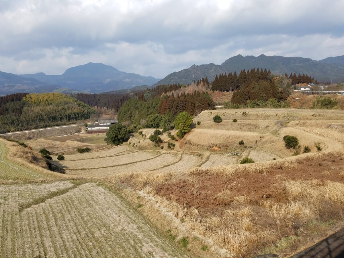 リバネスは、熊本県菊池市の平成29年度アグリ技術実証調査事業の委託を受けて、市内農家の調査を実施しています