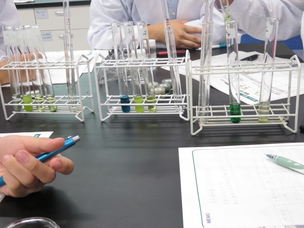 明治大学付属中野中学・高等学校で培地に使う藻類の簡易分析方法の開発を行う出前実験教室を実施しました