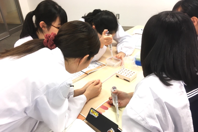 【実施報告】11/2 (土) 実践女子学園の中学生を対象に酵母発酵およびDNA鑑定に関する実験教室を行いました