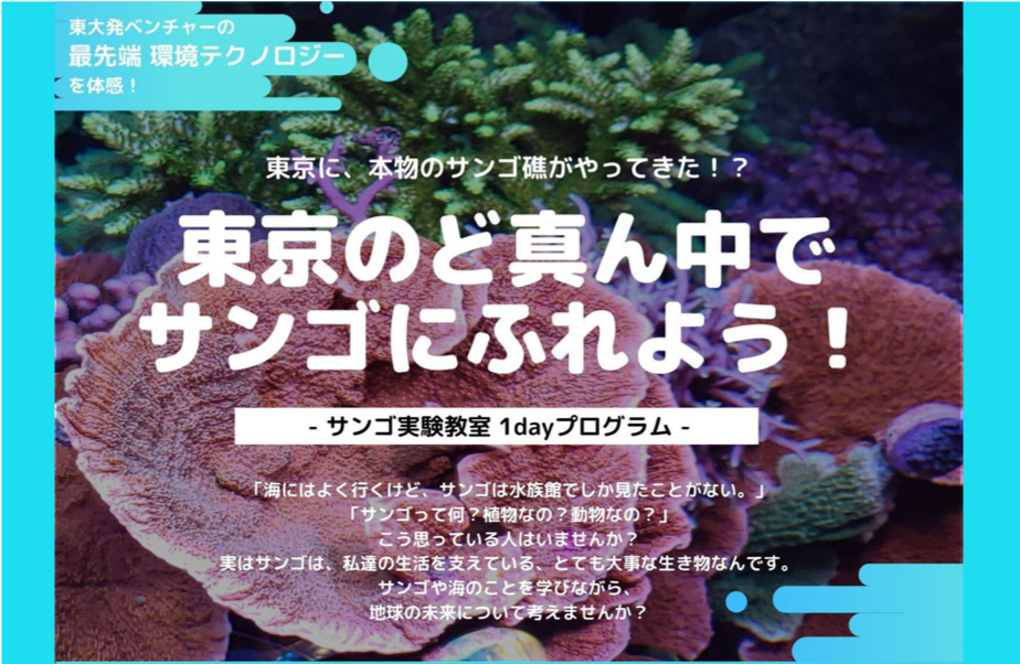 水環境テクノロジーのイノカと本物のサンゴを使った実験教室を開催〜東京の真ん中でサンゴの苗を増やす“枝打ち“を体験〜12/15@虎ノ門グローカルゲート　