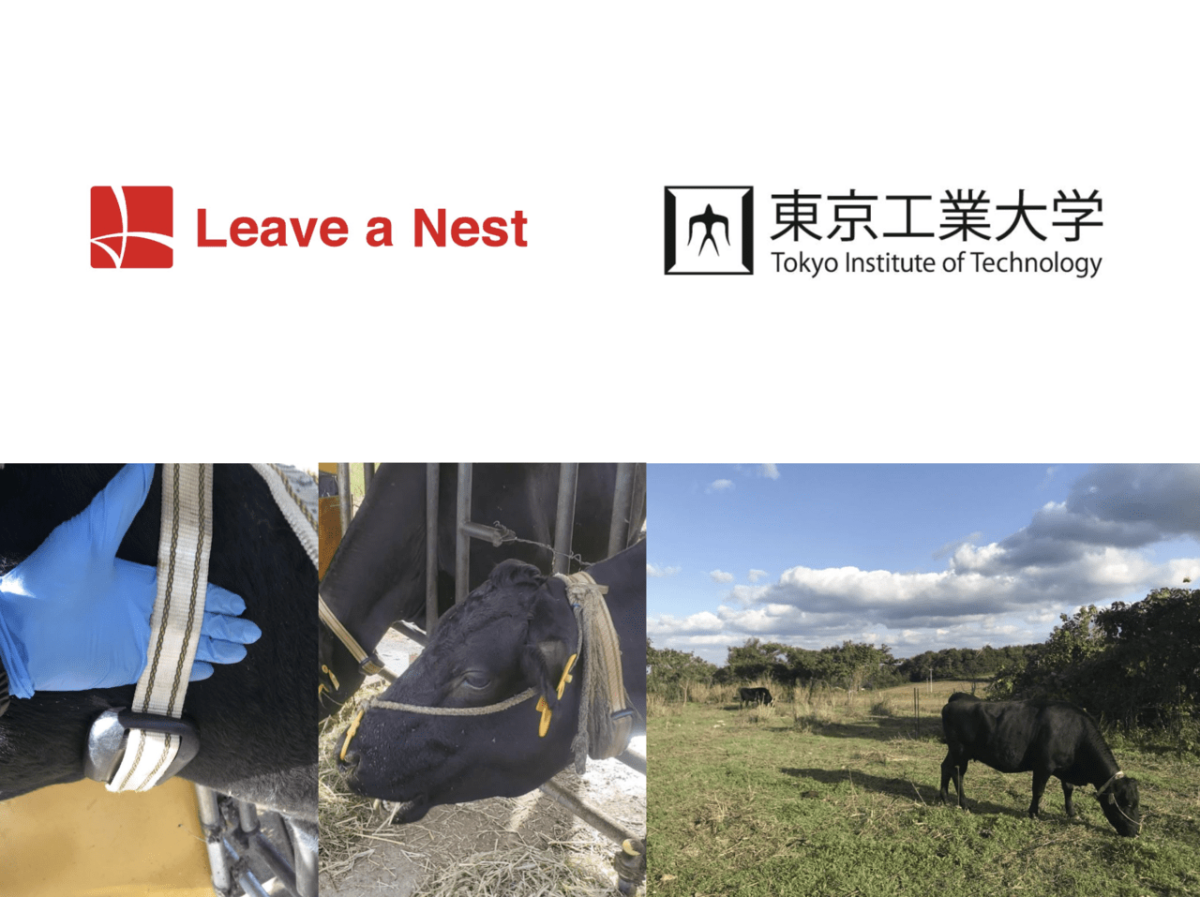 東京工業大学と「人間中心デザイン」に基づく耕作放棄地における放牧牛管理手法に関する研究を開始