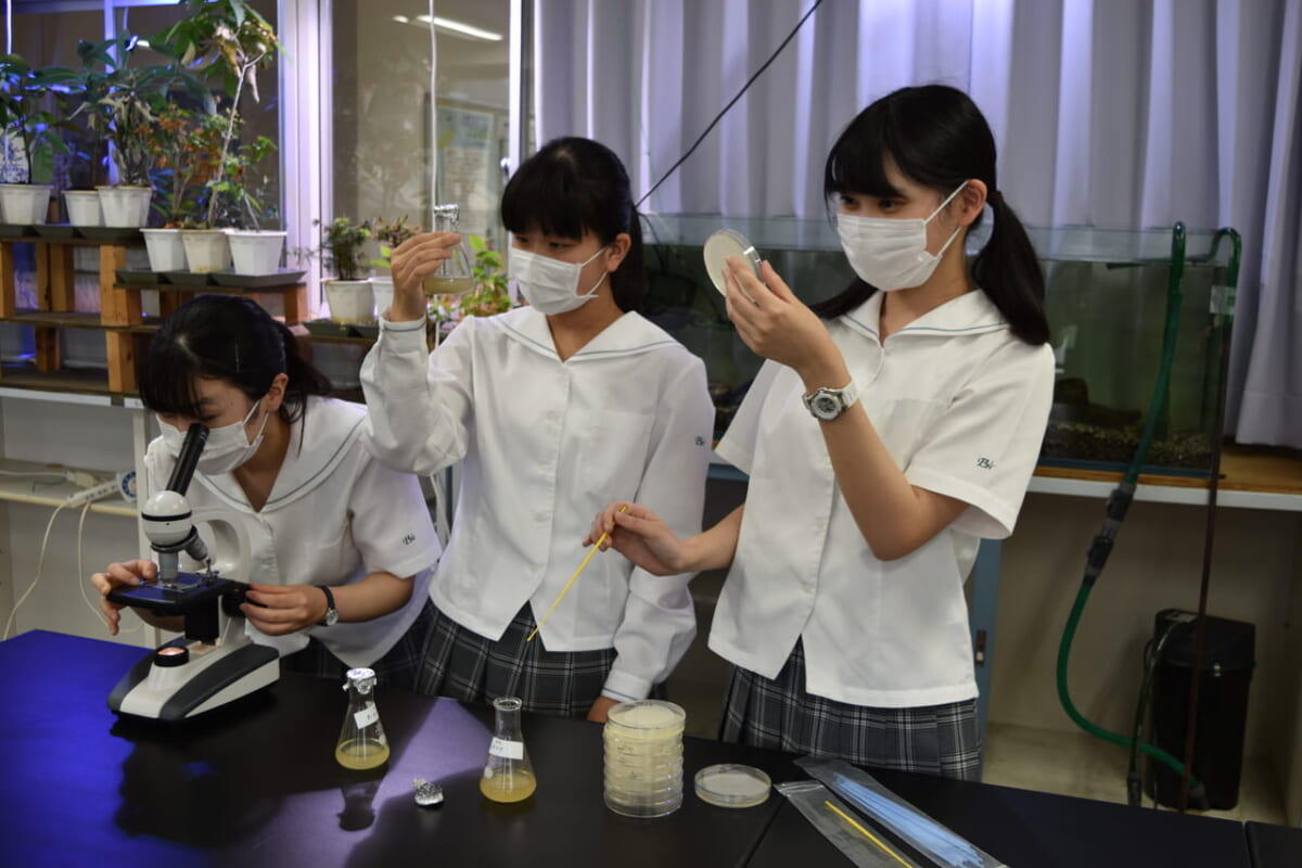 サイエンスキャッスル研究費アサヒ飲料賞2020採択チーム_愛媛大学附属高等学校 理科部プラガールズの研究論文が日本農芸化学会誌に掲載されました