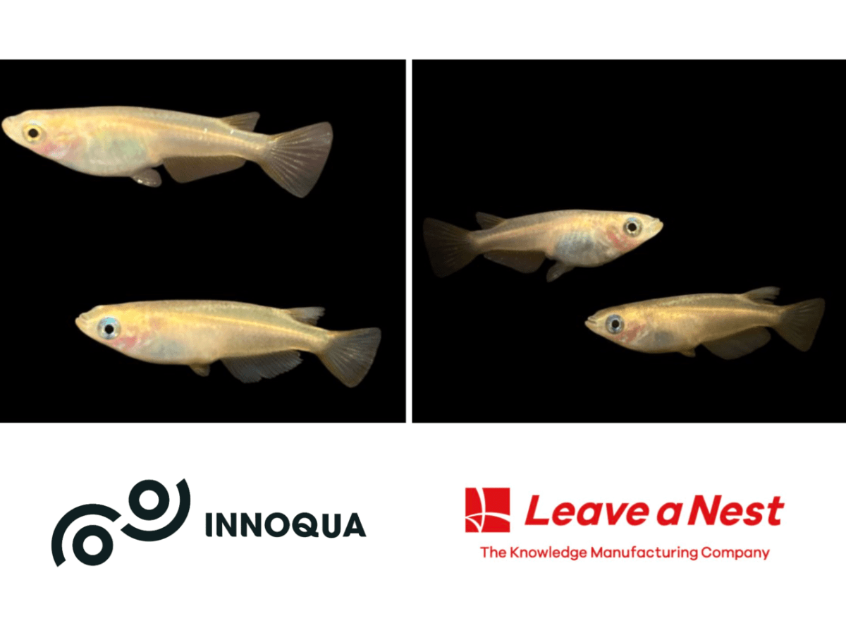 リバネス、環境移送ベンチャー イノカとTNFD開示対応を支援する 分子生物学的評価サービス「BETA」を国内初、事業化。 〜化学物質の“見えないリスク”をメダカで可視化、 化学メーカーや製造業・肥料メーカーなど企業の生物多様性保全対応を支援〜