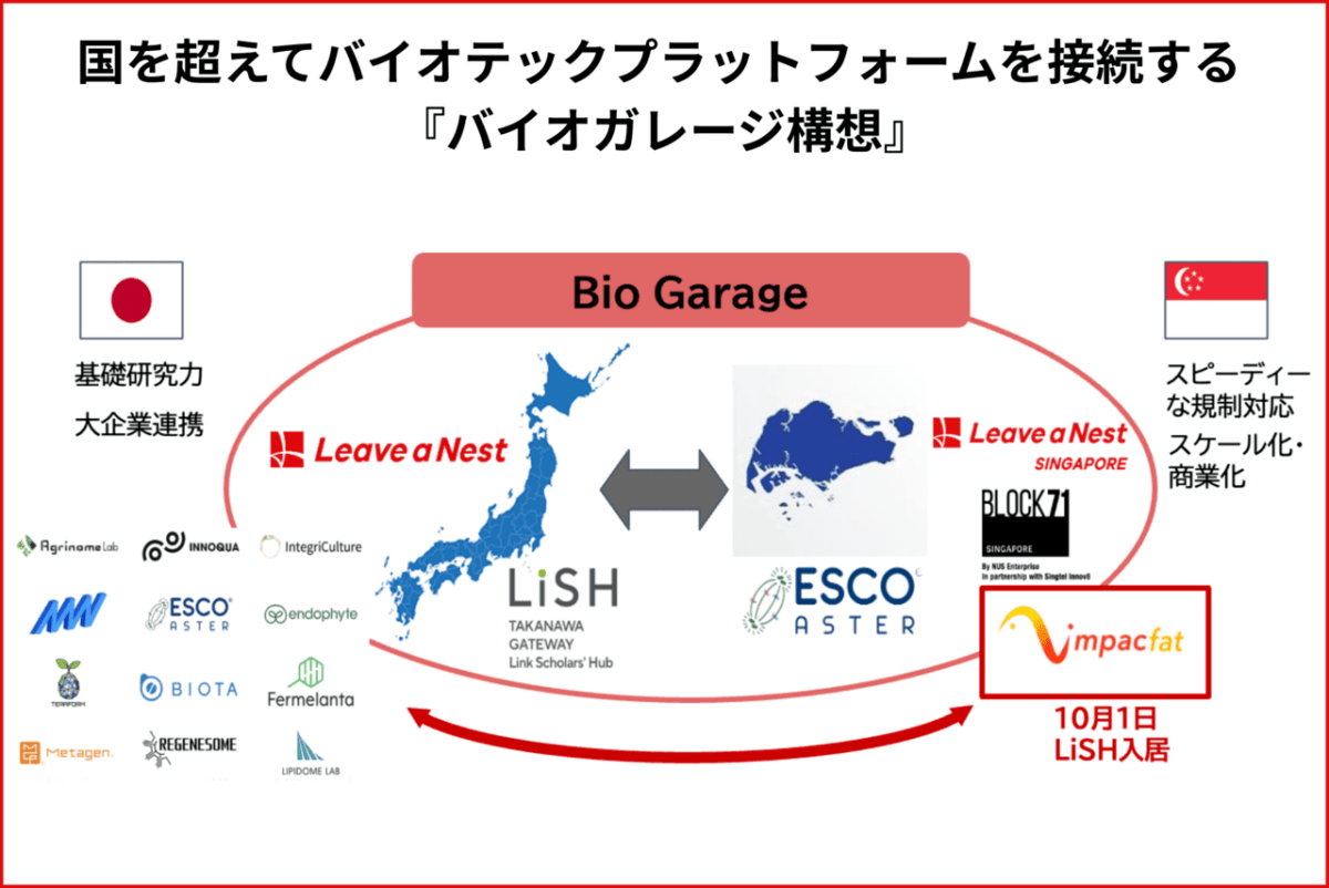 シンガポール細胞テックベンチャー ImpacFatにリバネスグループの144 Venturesが東洋製菓グループと共に出資 -日本とシンガポールのバイオテックラボをつなぐ「バイオガレージ構想」を開始-