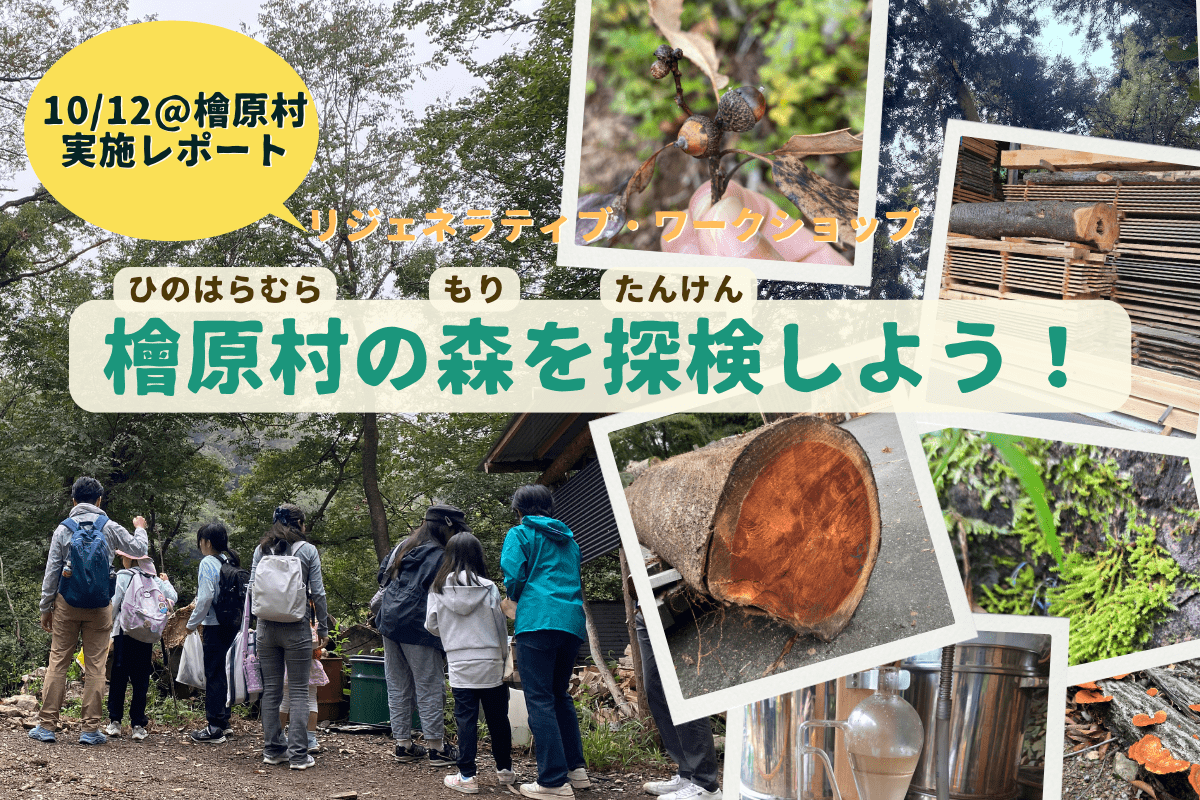 【10/12実施レポート】リジェネラティブ・ワークショップ〜檜原村の森を探検しよう！〜