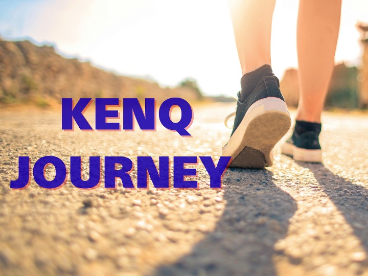 【12/20】次世代研究者と地域企業が議論し新たな研究を生み出す「KENQ JOURNEY」 を岡山で開催します。