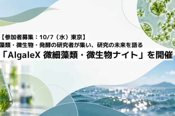 無題のプレゼンテーション